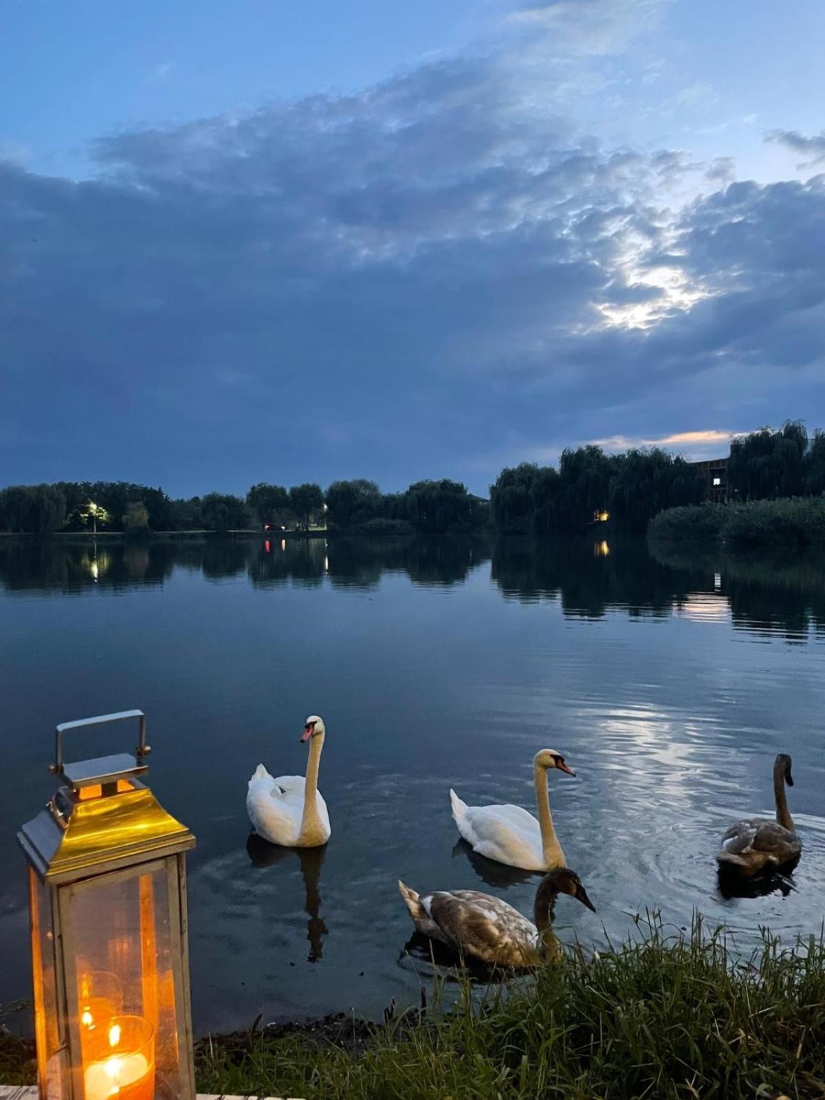 Therme - Corbeanca By The Lake Luxury Villa Esterno foto